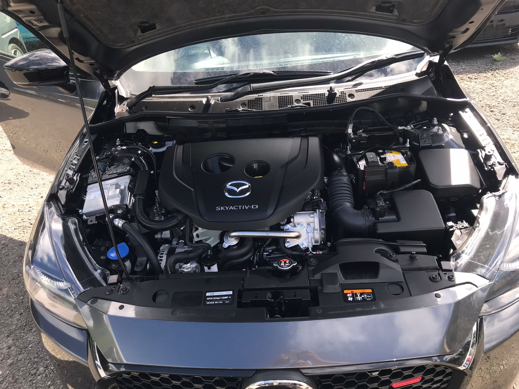 MAZDA MAZDA2 2024